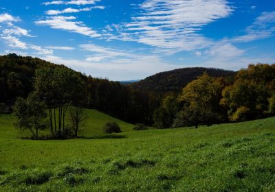 PHOTO BY BRIAN REID.