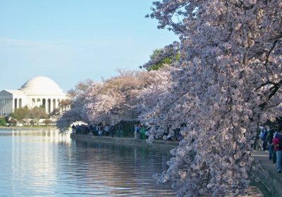 75544500838930500-101e0185