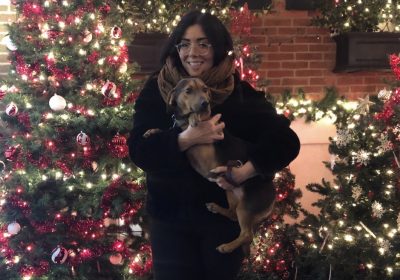 Katie Jean and her hot dog beagle, Harley, enjoying the holiday spirit at the Miracle on 13th Street display in Philadelphia.